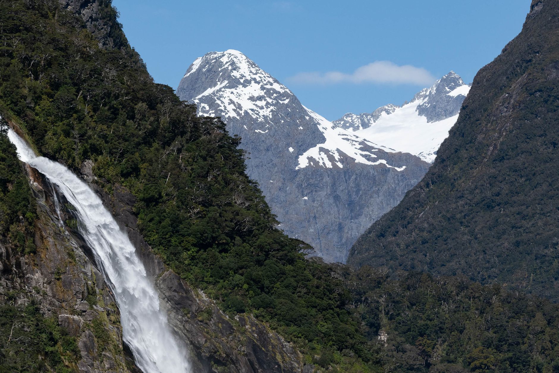 Fiordland National Park hike