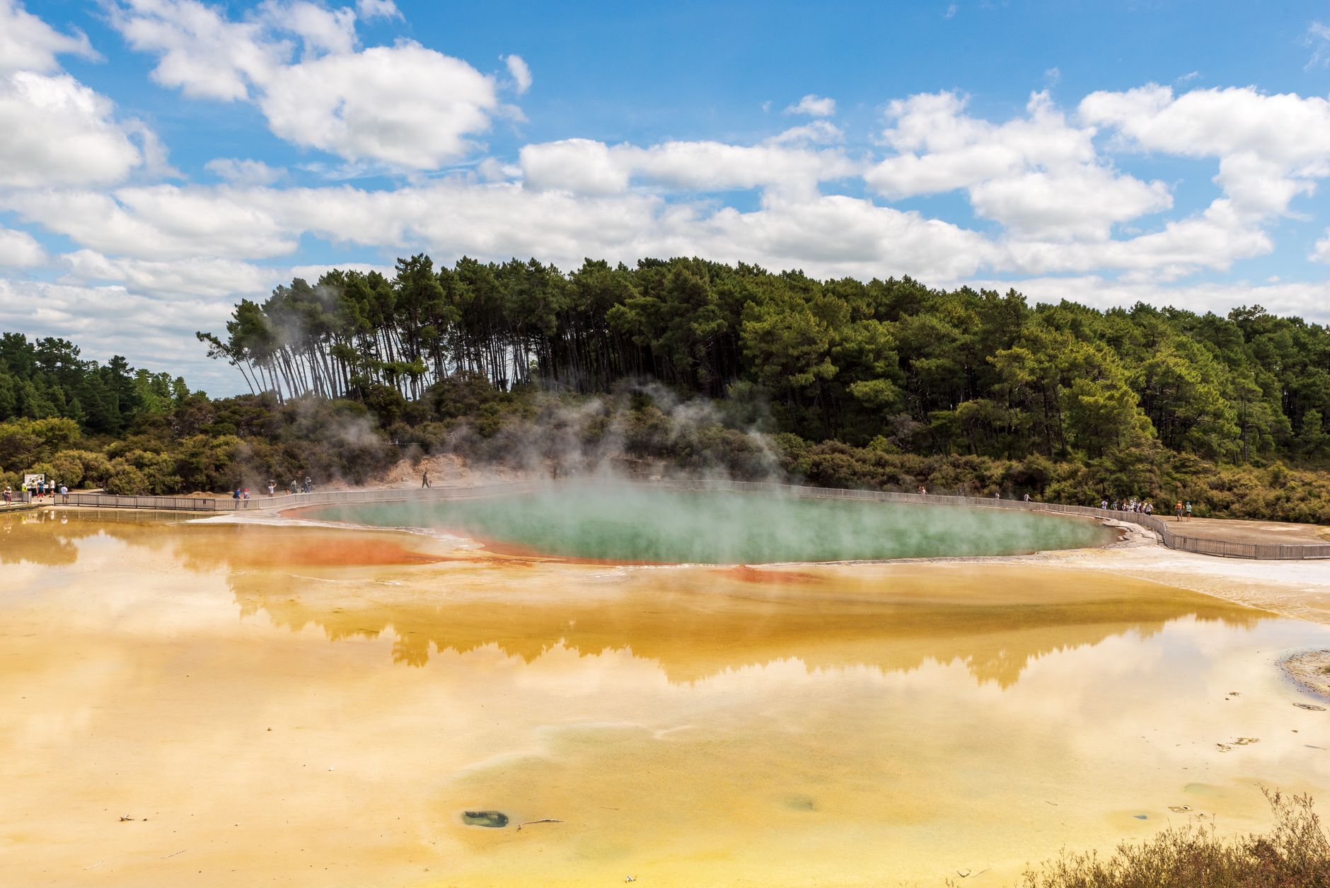 Rotorua geothermal valley steam