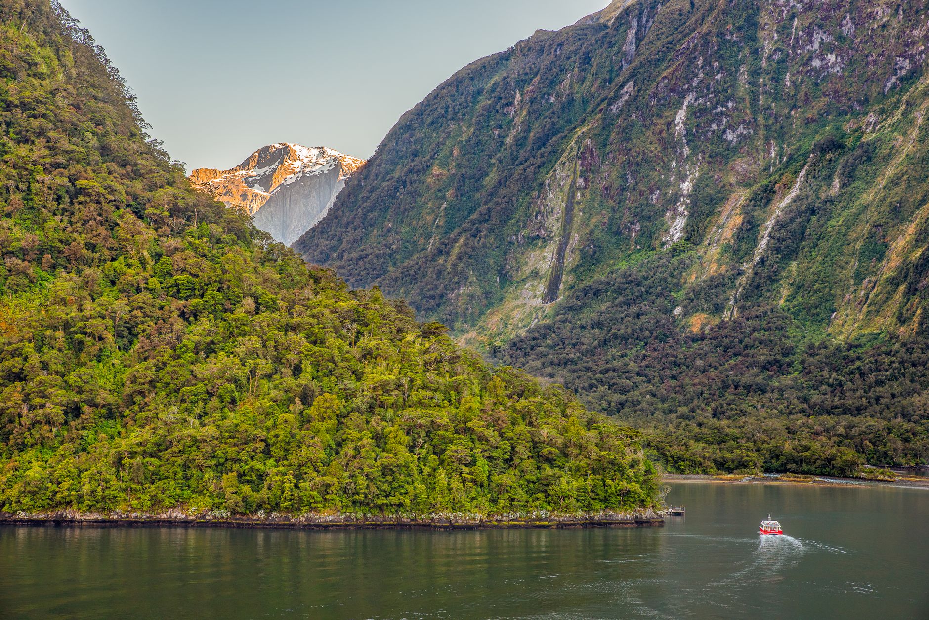 New Zealand alpine landscape with fjord view